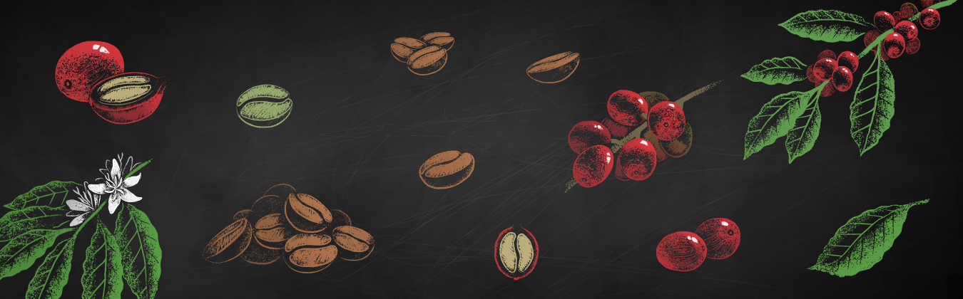 Mitos y leyendas del origen del café