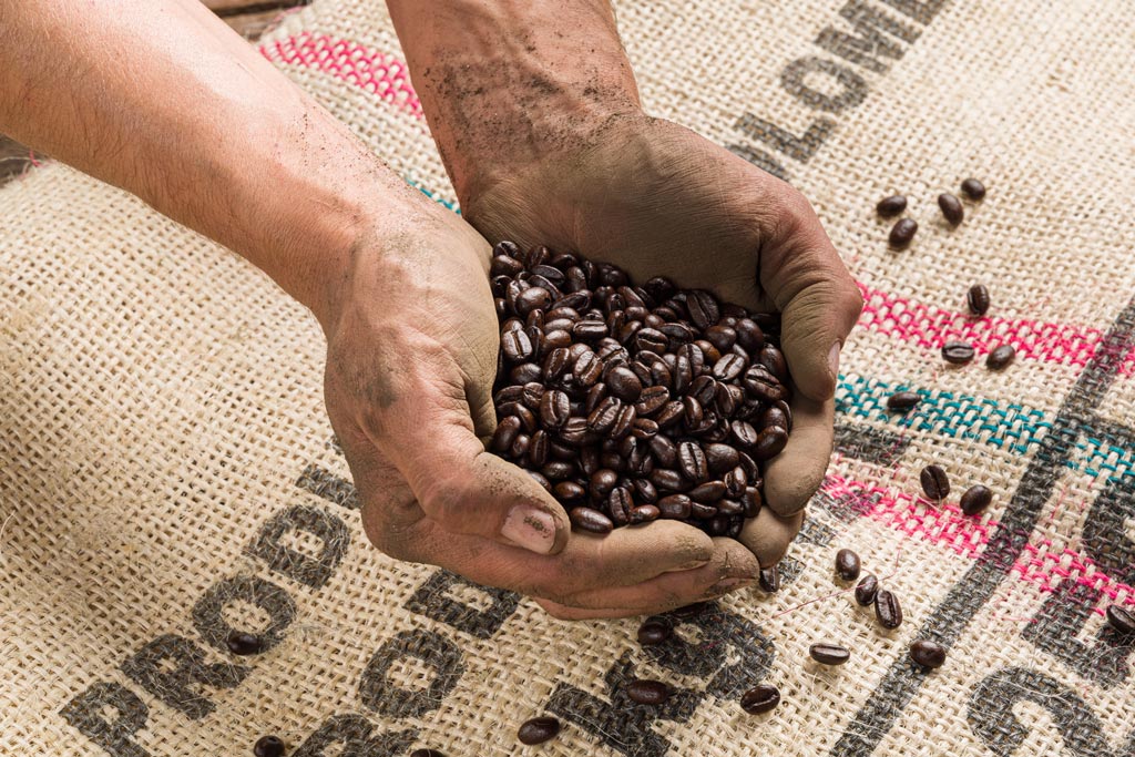 Día internacional del café