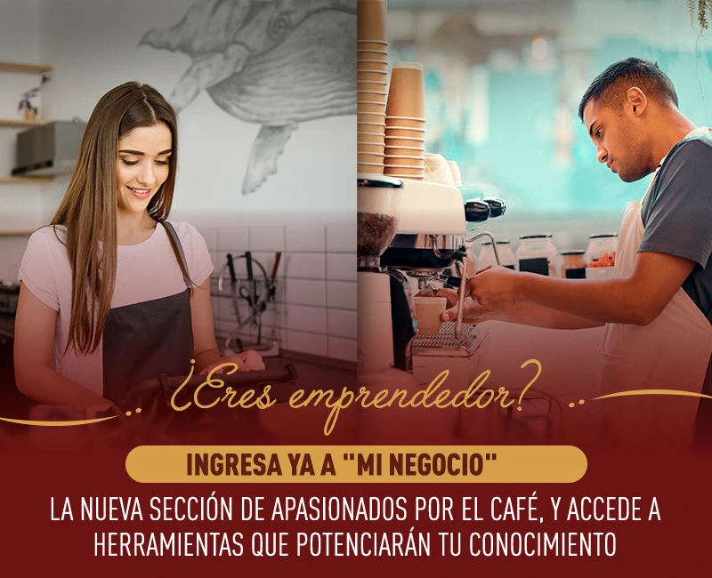 04-08-HomeMiNegocio-Apasionados